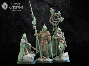 Mugen Guard CMD - Lost Kingdom