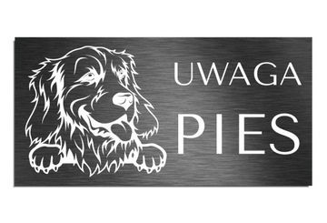 Tabliczka Uwaga Pies Golden Retriever 10x20cm