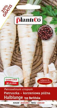 Ящик для гербария Warzywniak ECO 200x100x18 + семена овощей + перчатки