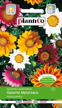 NASIONA GAZANIA BŁYSZCZĄCA MIESZANKA PLANTICO 0,3g