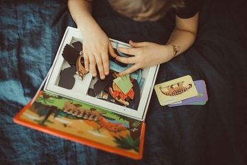 Магнитная книга Janod Динозавры магнитный пазл