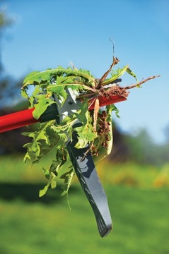 Культиватор WOLF-Garten Be-M Multi Star