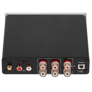 100 Вт цифровой усилитель DC12V-24V Hi Fi стерео аудио усилитель высокой мощности