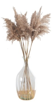 SUSZONA TRAWA BOHO NATURALNA BUKIET 10SZT XL 100CM