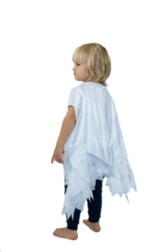 Orzeł skrzydła białe orła