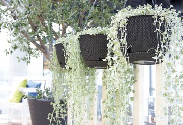 DONICZKA WISZĄCA SPLOFY DSPW270 ANTRACYT