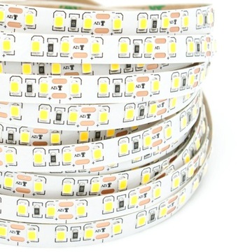 Taśma LED SMD 9.6W/1mb 12V IP20 Zimna 6500K 5m
