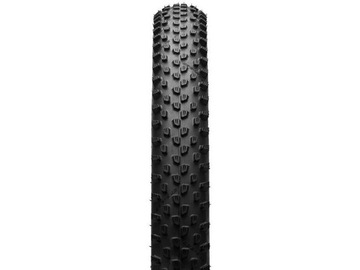SCHWALBE Racing Ray Performance 29x2,25 TLR Addix