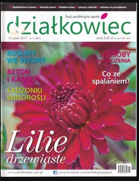 DZIAŁKOWIEC 11/2017 LILIE DRZEWIASTE