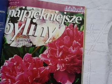 ВЫДЕЛИТЕ ВЛАДЕЛЬЦУ 200 СТРАНИЦ СПЕЦИАЛЬНЫЙ ВЫПУСК