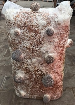 OYER MUSIC MYCLE LARGE BALLE, кубики, около 15 кг