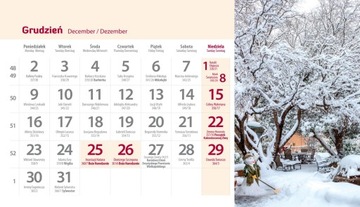 Календарь настольный на 2024 год ФОТО 19,5х11см САДЫ