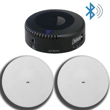DEXON GŁOŚNIKI Z BLUETOOTH DO KUCHNI ŁAZIENKI