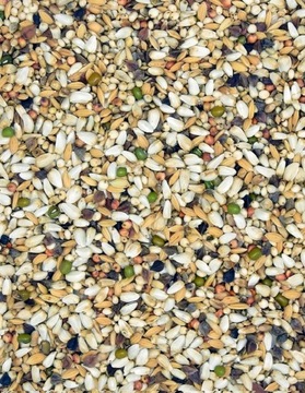 KARMA DIETA SPECIAL DS 25KG MDM dla gołębi