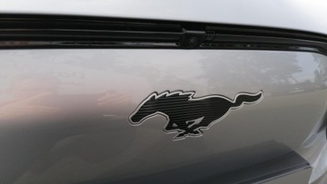 Ford Mustang VI 2022 Mustang Mach-E 351KM AWD Elektryczny, zdjęcie 35