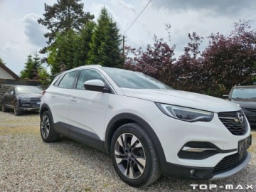 Opel 2019 Opel Grandland X Full Opcja 2.0 CDTI Automat 2.0 Diesel 177KM, zdjęcie 12