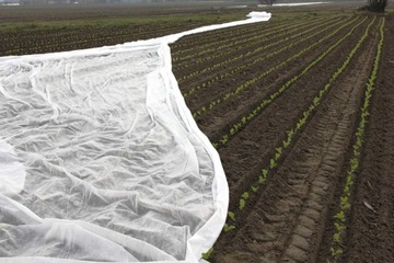 Белый агротекстиль ПРОТИВ ГРАДА, ПТИЦ И МОРОЗА 420 см х 10 м С УФ