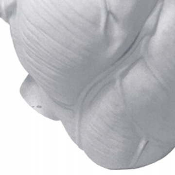 Анатомическое сердце Ваза для цветов Статуя Цветочный горшок