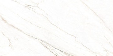 PŁYTKI ŁAZIENKOWE PODŁOGOWE BIAŁY MARMUR GRES WHITENED 60X120 CARVING / MAT