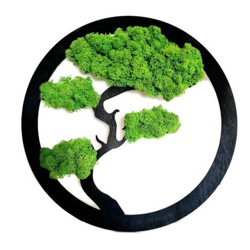 Drzewo Bonsai z mchem chrobotkiem OBRAZ Z MCHU cz
