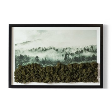 Obraz mech chrobotek prezent Las we mgle 60x40