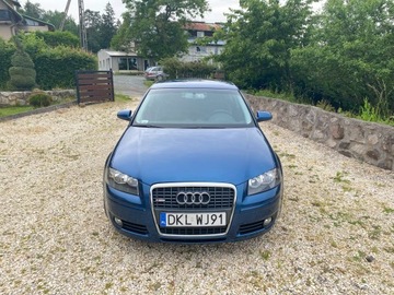 Audi A3 8P Hatchback 3d 2.0 TDI PD 140KM 2005