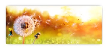 Panel szklany lacobel szkło grafika 150x60 cm PAN