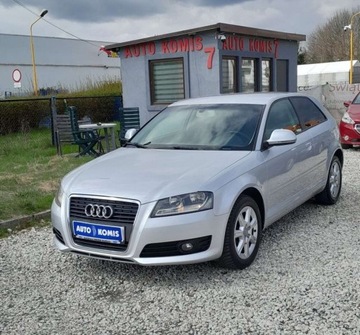 Audi A3 8P Hatchback 3d 2.0 TDI PD 140KM 2008 Audi A3 Audi A3 2.0 TDI DPF Ambition S tronic