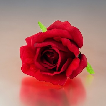 РОЗА ПРОДУКТ РОЗЫ ЦВЕТОК ГОЛОВКА ИСКУССТВЕННЫЕ ЦВЕТЫ КАК ЖИВОЙ КРАСНЫЙ