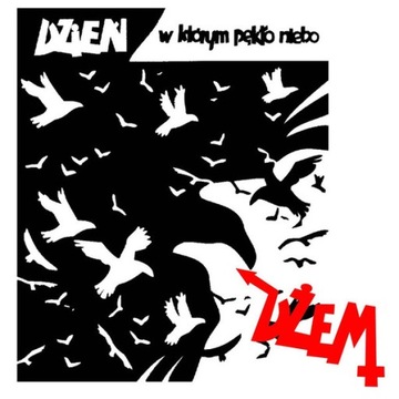 Dzień, w którym pękło niebo (vinyl)