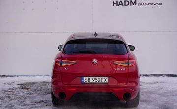 Alfa Romeo Stelvio SUV Facelifting 2023 2.2 JTDM 210KM 2024 Alfa Romeo Stelvio Alfa Romeo Stelvio Tributo Italiano 2.1 Diesel 210KM, zdjęcie 5