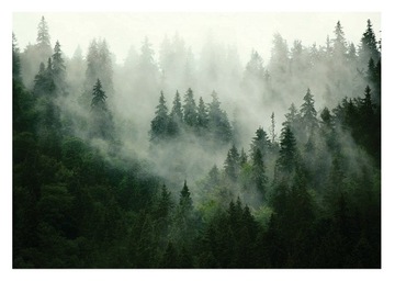 FOTOTAPETA LAS WE MGLE WIDOK DRZEWA NATURA KRAJOBRAZ GÓRY 520x318