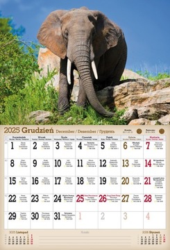 НАСТЕННЫЙ КАЛЕНДАРЬ 2025 А3 ДИКИЕ ЖИВОТНЫЕ ЗООПАРК КОАЛА МЕДВЕДЬ СЛОН МАВКА ДЕЛЬФИНЫ