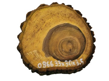 Plaster Orzecha Włoskiego 39x30 Duży Wybór Żywica