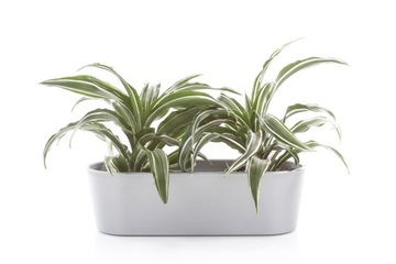 индикатор воды для цветочного горшка белый FLORI 28 гидропоника