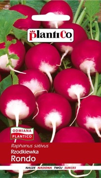 Rzodkiewka Rondo PlantiCo