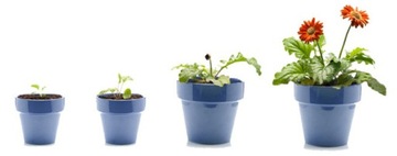 Светодиодная лампа для выращивания растений