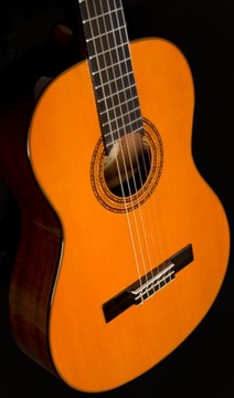 WASHBURN C 5 (N) классическая гитара