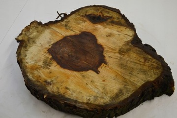 Срез каштана 58х49см Толщина: 7 см для смол