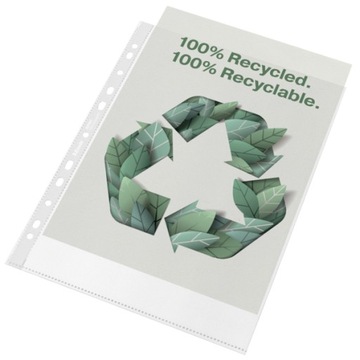 KOSZULKA GROSZEK A4 ESSELTE RECYCLED 50SZT 100MIC