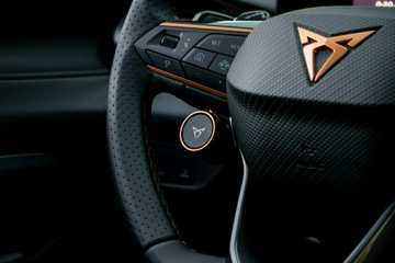 Cupra Terramar SUV 2.0 TSI 265KM 2024 Cupra Terramar VZ 2.0 TSI 265 KM DSG 4Drive DEMO, zdjęcie 25