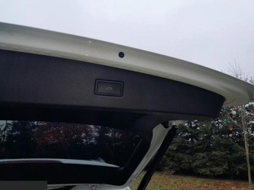 Volkswagen Tiguan II SUV Facelifting 2.0 TDI 200KM 2024 Volkswagen Tiguan Allspace 2.0 TDI SCR 4MotION DSG Elegance 200KM 2021r, zdjęcie 7