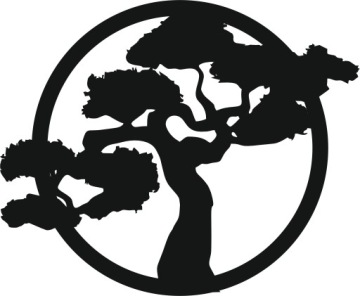 koło drzewo drzewko 40 cm bonsai KOLORY