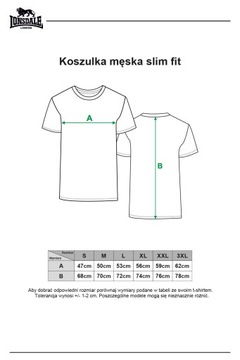 Koszulka T-shirt Męski Slim Fit CLASSIC M