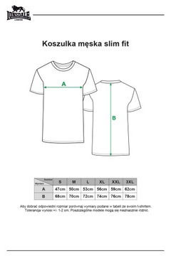 Koszulka T-shirt Męski Slim Fit CLASSIC XXL