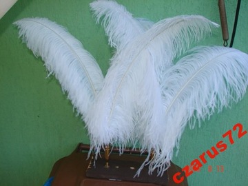 ПЕРЬЯ ДЛЯ ОБРАБОТКИ ПЕРО СТРАУСА