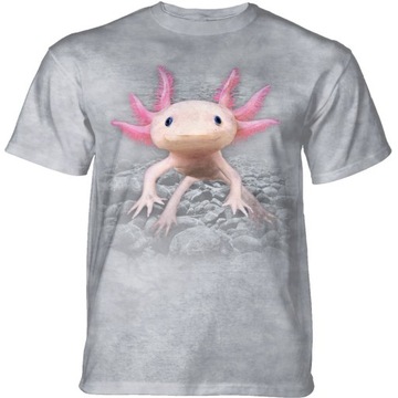 Axolotl - The Mountain L