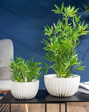 ЦВЕТОЧНЫЙ ГОРШОК ЭКО ЧАША БЕЛЫЙ 30см Цветы Травы для гостиной, спальни, декоративные