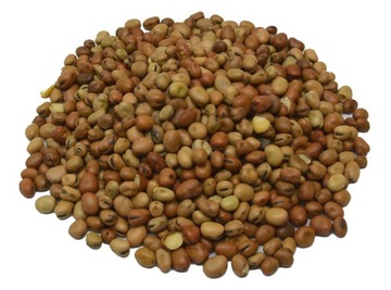 BOBIK WĘDKARKI ZANĘTOWY PRZYNĘTOWY ZIARNO 5kg