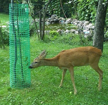 СЕТКА ЗАБОРА ДЛЯ КРОВАТИ | пластик|зеленый| 0,4х1м